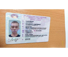 Профессиональные защитные решения: голографические пленки для полиграфии