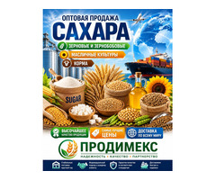 Сахар, зерновые и зернобобовые, масличные культуры, корма