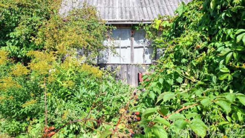 Продам: участок с домиком под Изборском