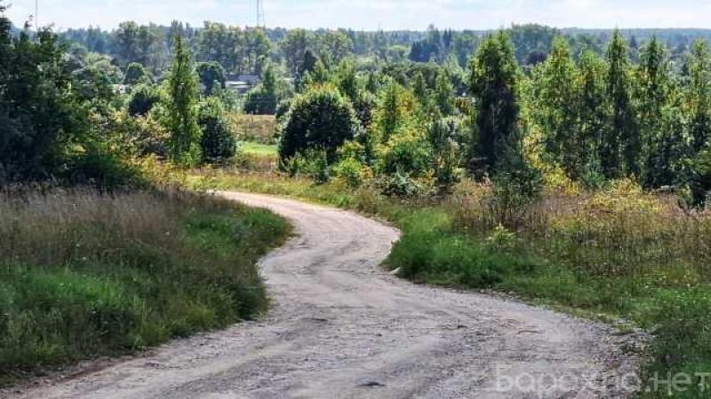 Продам: участок с домиком под Изборском