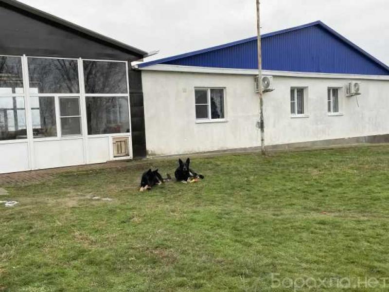 Продам: базу в Батайске