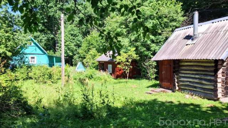 Продам: дом на хуторке в лесной роще в Пскове